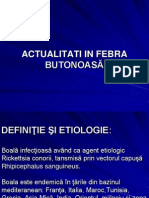 Febra Butonoasă