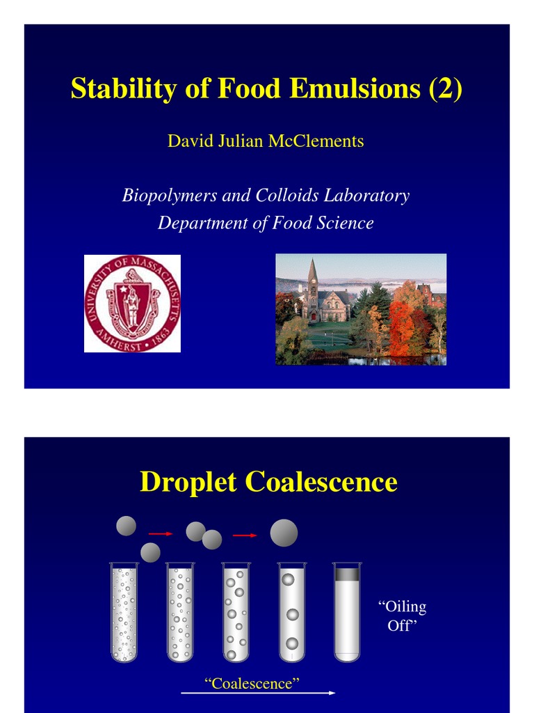 Stability of Food Emulsions (2) : David Julian Mcclements | PDF ...