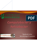 Campylobacter y Helicobacter