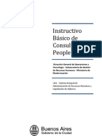 Instructivo Básico de Consulta V5