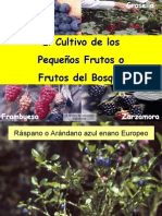 Frutos Del Bosque