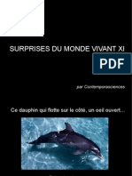 Surprises Du Monde Vivant XI