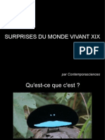 Surprises Du Monde Vivant XIX