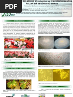 Poster CBF2012.Fumiko