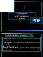 Understanding Social Systems and Organizational Culture