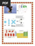 Download KERAJINAN KULIT by Eric Presetiyo SN107498477 doc pdf