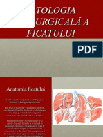 Patologia Ficatului