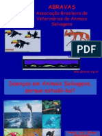 Animais Silvestres PDF