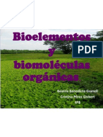 Biomolculas 091016023833 Phpapp02