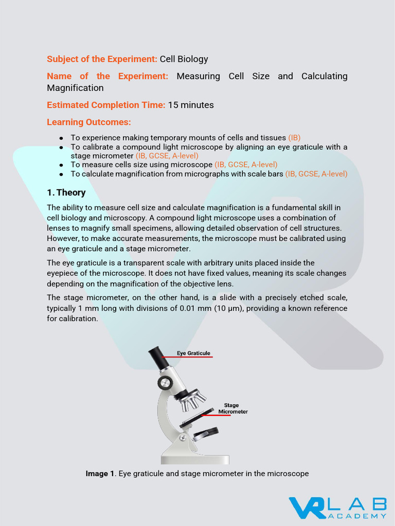 Manual Practica Measuring Cell Size and Calculating Magnification ...