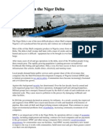 Conditions in The Niger Delta