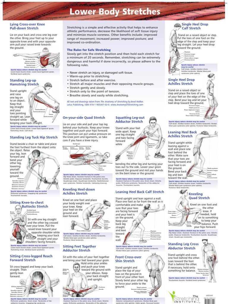 sciatic nerve stretches pdf