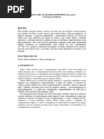 Grafos, Meta e Macrocontingências