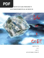 Bui Science Project-2012