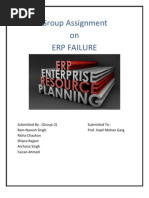 Erp Failure Assignment