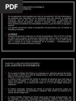 AGENTES ECONOMICOS