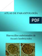 Atlas a Color de Parasitologia