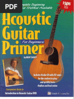 Acoustic Guitar Primer For Beginners