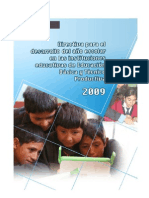 RM 0441-2008-ED Directiva Para El Desarrollo 2009 en Las IE