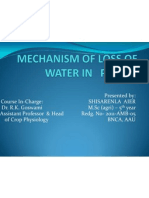 Mechanism of Loss of Water by Plants