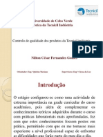 Controlo de Qualidade Dos Produtos Da Tecnicil Industrias Nilton Césra Fernandes Gomes
