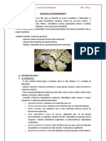 DIENCÉFALO. pdf