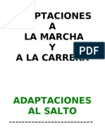 Adaptaciones A