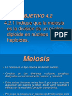 4.2 Meiosis