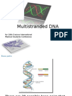 Multi Stranded DNA