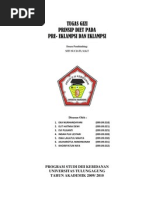 Download Prinsip Diet Ibu Hamil Dengan Pre Eklamsi by Mr Adheep Mahfud SN108554346 doc pdf