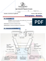 007 Eletroquímica Eletrólise - 2011