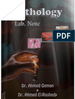 Pathology+Lab 2