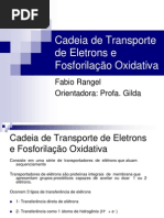 Cadeia de Transporte de Eletrons e Fosforilação Oxidativa