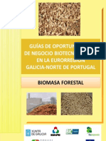 Guia Biomasa Forestal