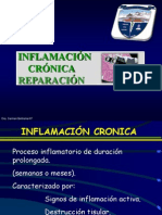 Inflamacion Cronica - Reparacion