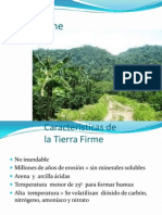 Amazonica2