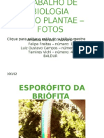 Trabalho de Biologia