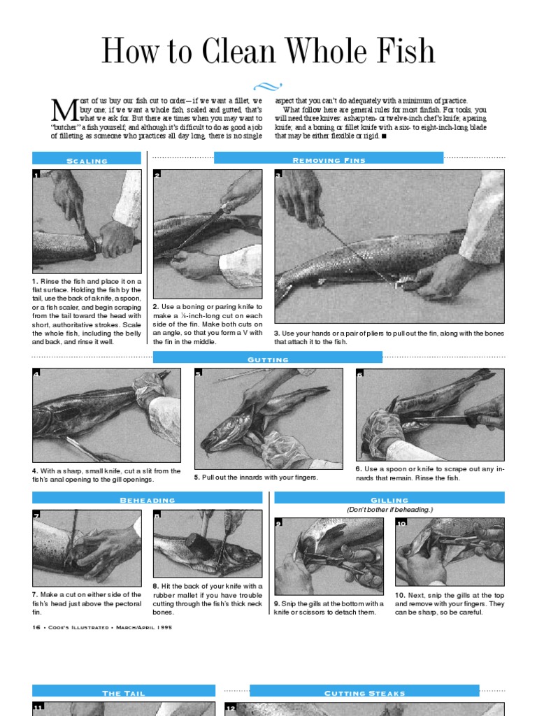 Clean A Fish | PDF | Cooking, Food & Wine | Wellness