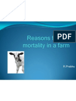 Calf Mortality