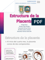 Estructura de la Placenta