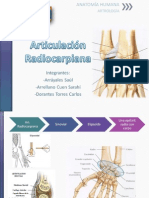 Articulación Radiocarpiana