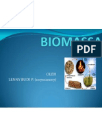 Biomassa 1