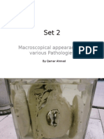 Macroscopical Appearance in Various Pathologies: by Qamar Ahmad