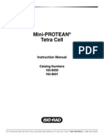 Biorad Mini Protean Tetra Cell Manual