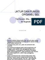 SEL1 Prokarioteukariotstrukturdanfungsimembransel