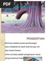 Download Eliminasi Urine Dan Fecal by aneoga SN108792649 doc pdf