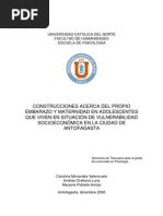Tesis Construccion Acerca Del Propio Embarazo y Maternidad en Adolescentes Que Viven Situacion de Vulnerabilidad Socioeconomica en Antofagasta UCN Psicología
