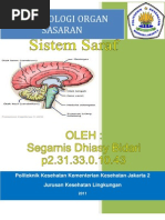 Download Paper Toksikologi Organ Saraf by Wieldha El Wahhab SN108808461 doc pdf