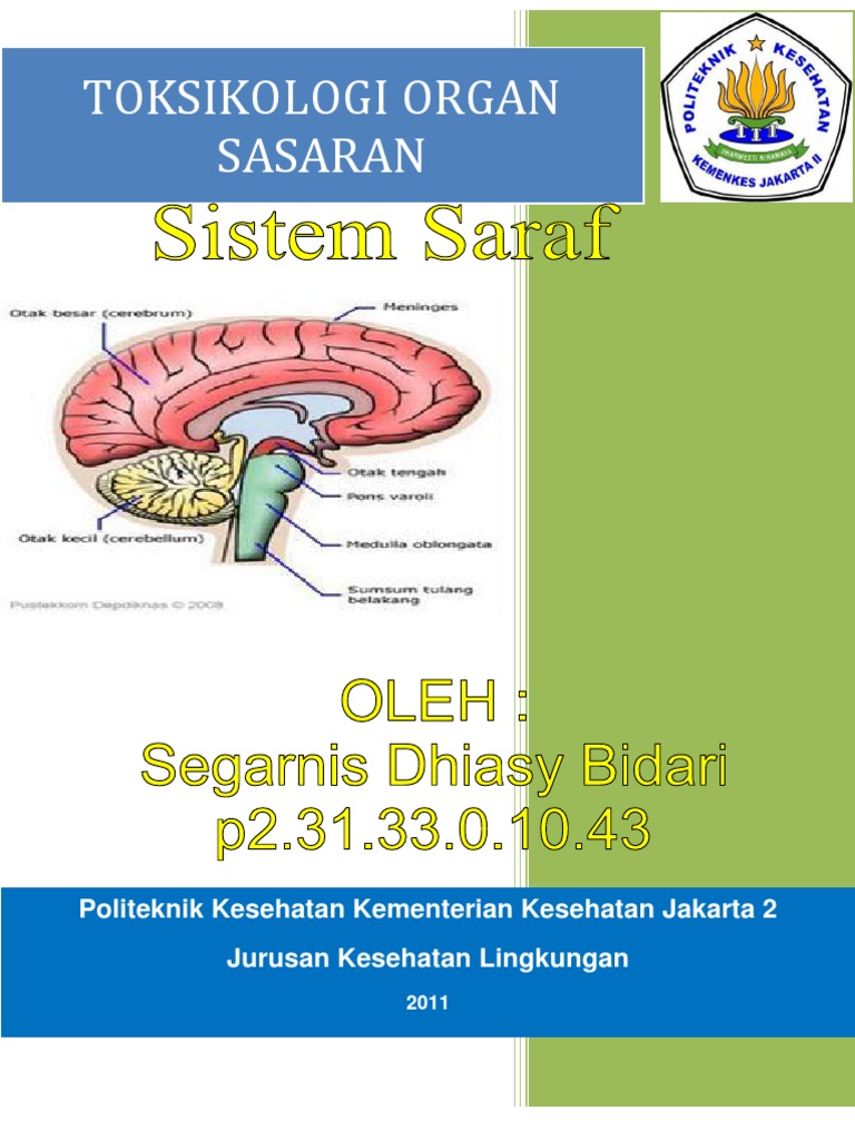 Paper Toksikologi Organ Saraf
