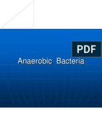 Anaerobic Bacteria